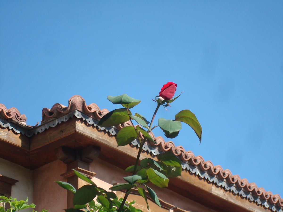 Oikia Alexandrou Traditional Inn Arnaía Exterior foto