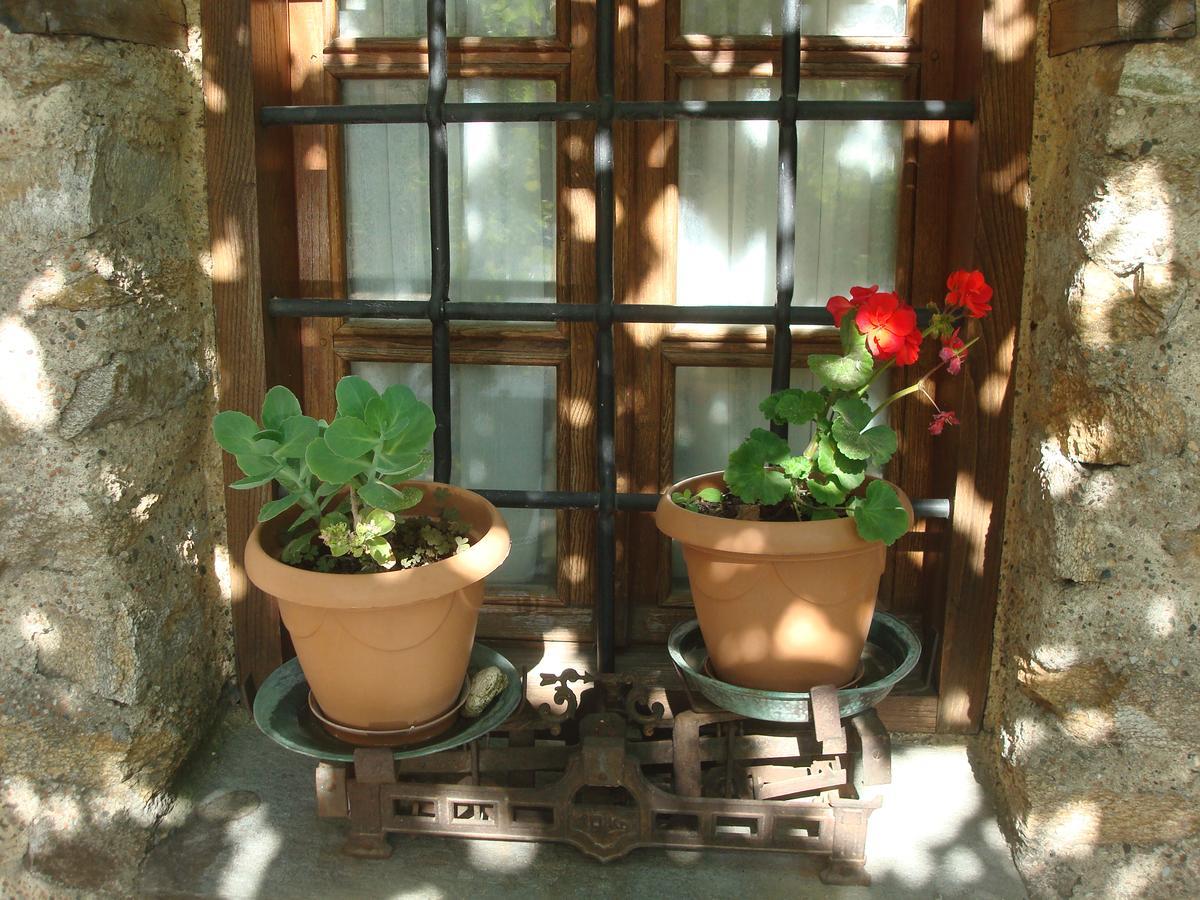 Oikia Alexandrou Traditional Inn Arnaía Exterior foto