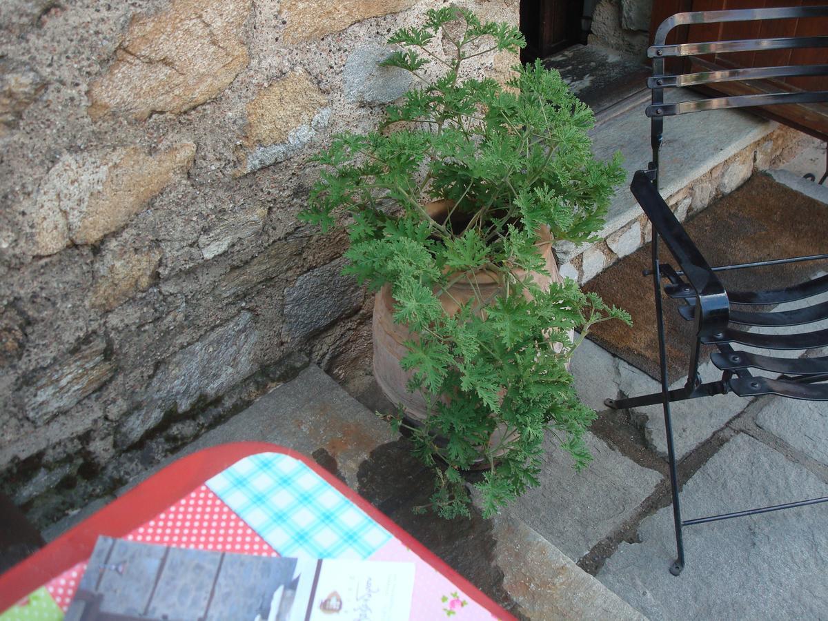 Oikia Alexandrou Traditional Inn Arnaía Exterior foto